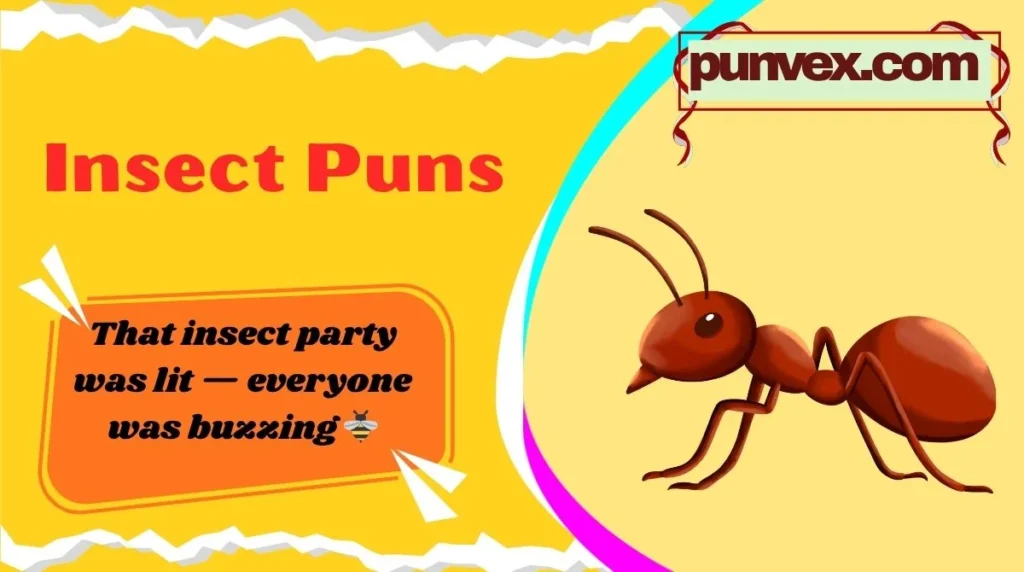 Insect Puns