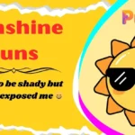 Sunshine Puns